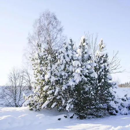 Hexenzauber I In Braunlage, Cleaning Included