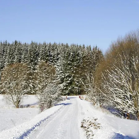 Hexenzauber I In Braunlage, Cleaning Included